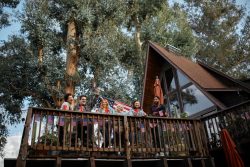 Cabins in Duck Creek Utah