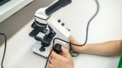 Microscope Calibration Service