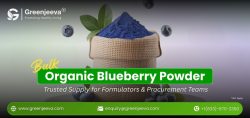 Organic Blueberry Powder in bulk supplier in greeenjeeva