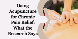 Astoria Acupuncture