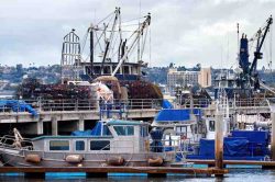 Odoo Maritime Business Management Software | Bizople