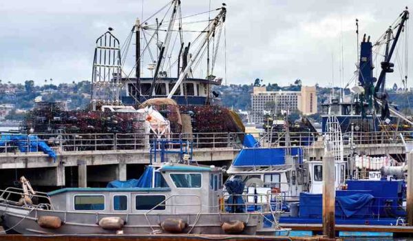 Odoo Maritime Business Management Software | Bizople