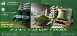 kale leaf powder supplier,