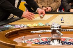 Join Reddybook Today & Start Winning Big Every Day | Trusted Online Betting Platform