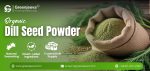 Dill seed powder in bulk supplier