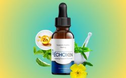 EchoXen