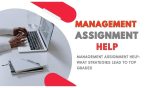 Management Assignment Help: What Strategies Lead to Top Grades
