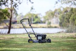 Masport Mowers