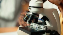 Microscope Calibration Services in India