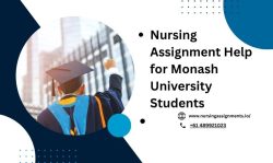 nursing assignment help