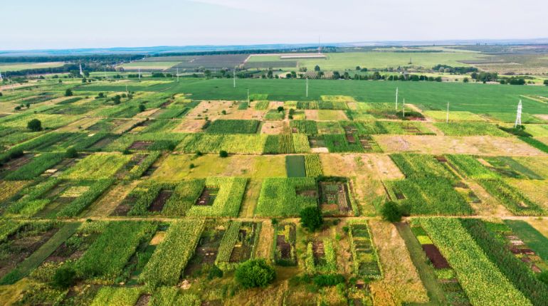 Dholera Plot Scheme
