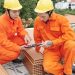 Roofing Contractor in Brooklyn