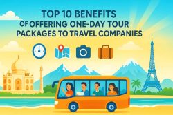 Delhi to Agra trip by bus