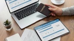 UAE visa number