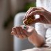 Will Amoxicillin Treat a UTI