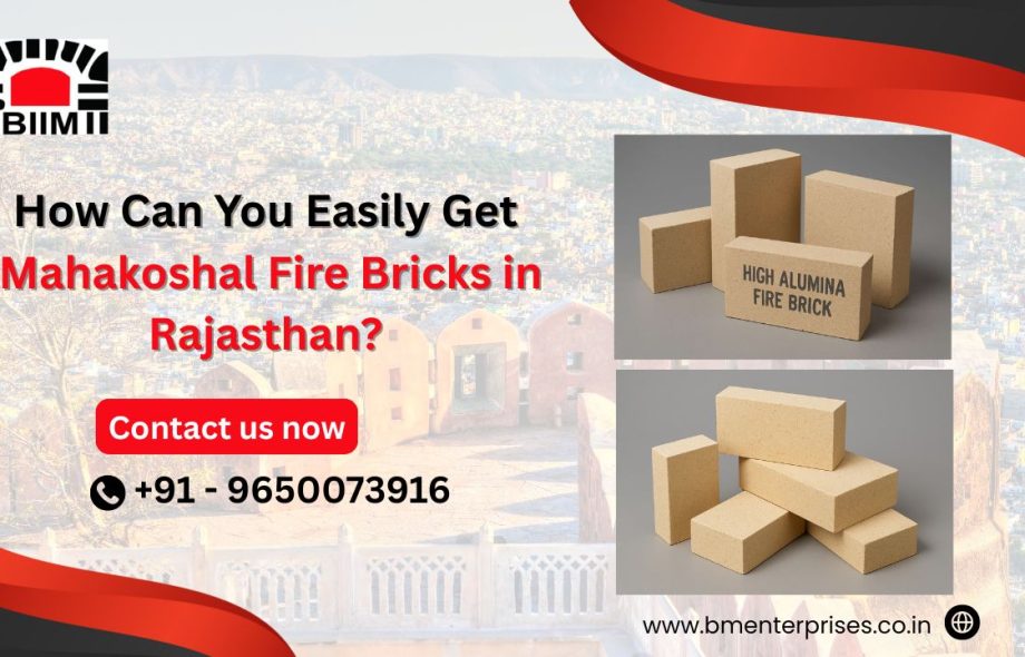 fire bricks in rajasthan-bhiwadi