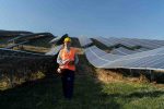 Odoo Integrated Solar Plant ERP System | Bizople