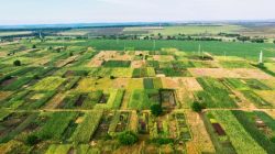 Dholera Plot Scheme