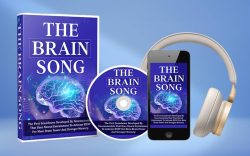 The brain Song