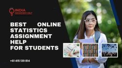 statistics assignment help