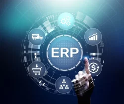 erp consultant​