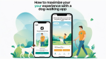 How to Maximize Your Experience with a Dog Walking App