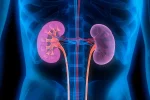 Kidney Disease