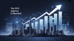 Top SEO Agency in Mumbai