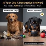 kongs dogs