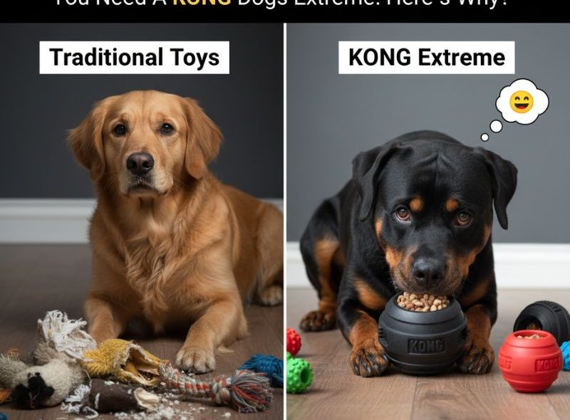 kongs dogs