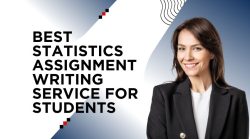 Statistics Assignment Writing Service