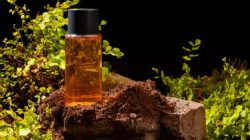 Attar Fragrance in Ahmedabad