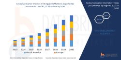 Consumer Internet of Things IoT Market