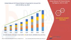 Natural Oil Polyols Market