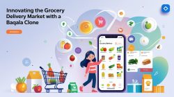 Innovating the Grocery Delivery Market with a Baqala Clone