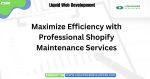 Maximize Efficiency with Professional Shopify Maintenance Services