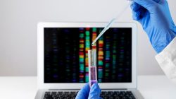 Particle Counts Testing Service in India