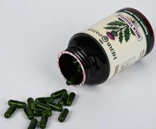 natural milk thistle capsules for liver health