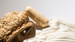 mushroom capsules